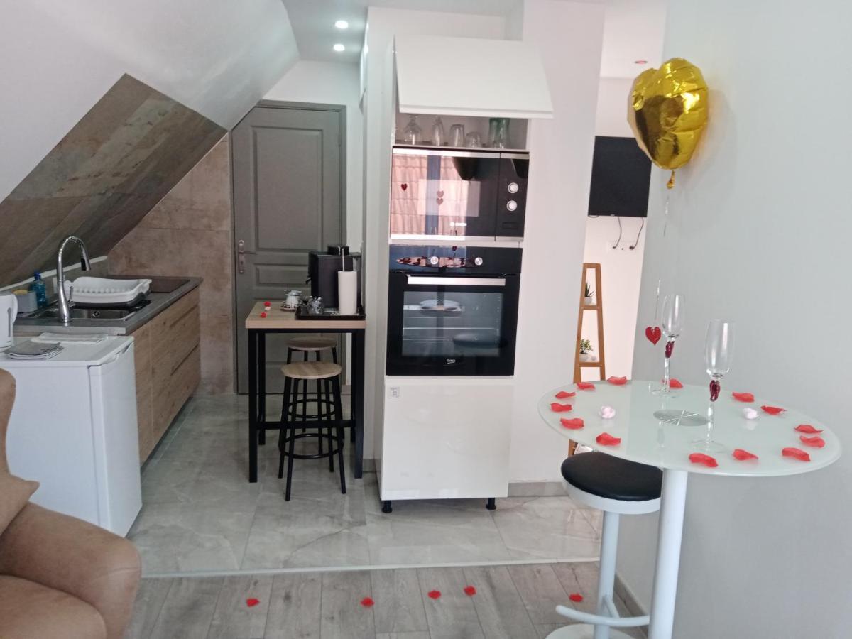 Studio Jacuzzi Au Centre Colmar Ngoại thất bức ảnh