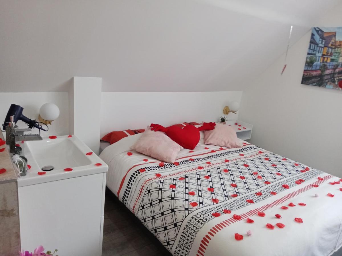 Studio Jacuzzi Au Centre Colmar Ngoại thất bức ảnh