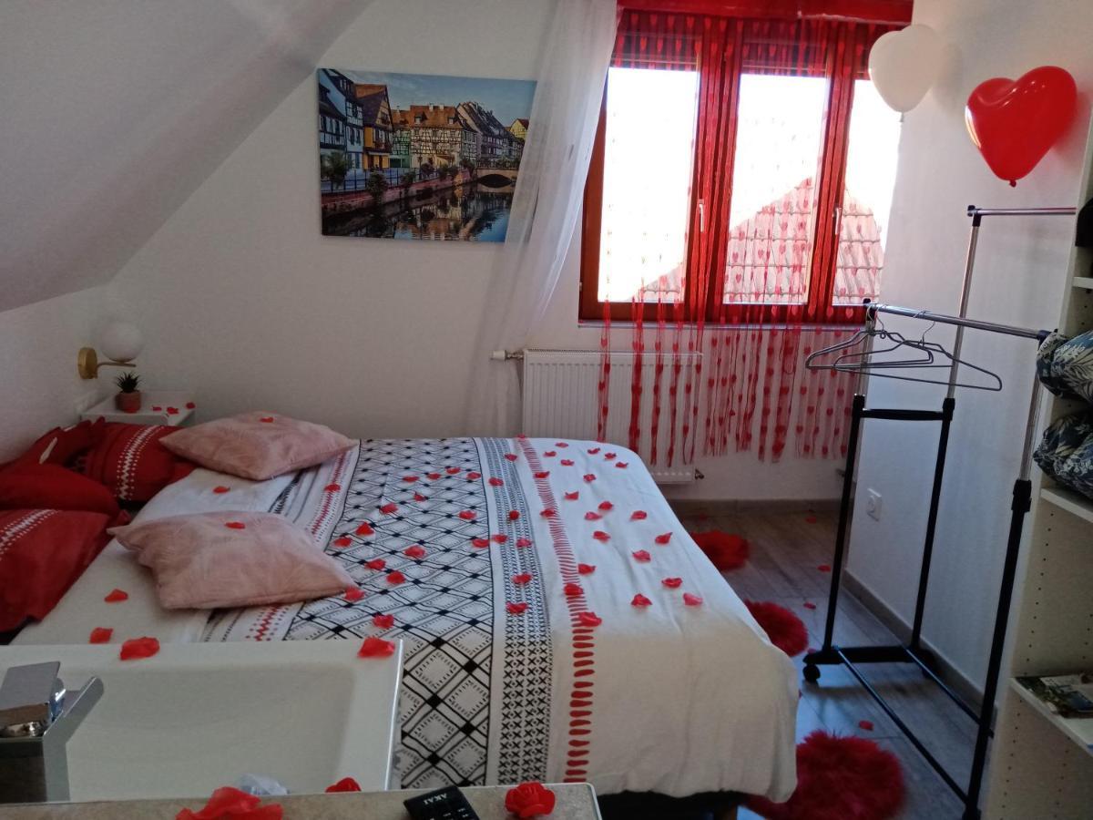Studio Jacuzzi Au Centre Colmar Ngoại thất bức ảnh