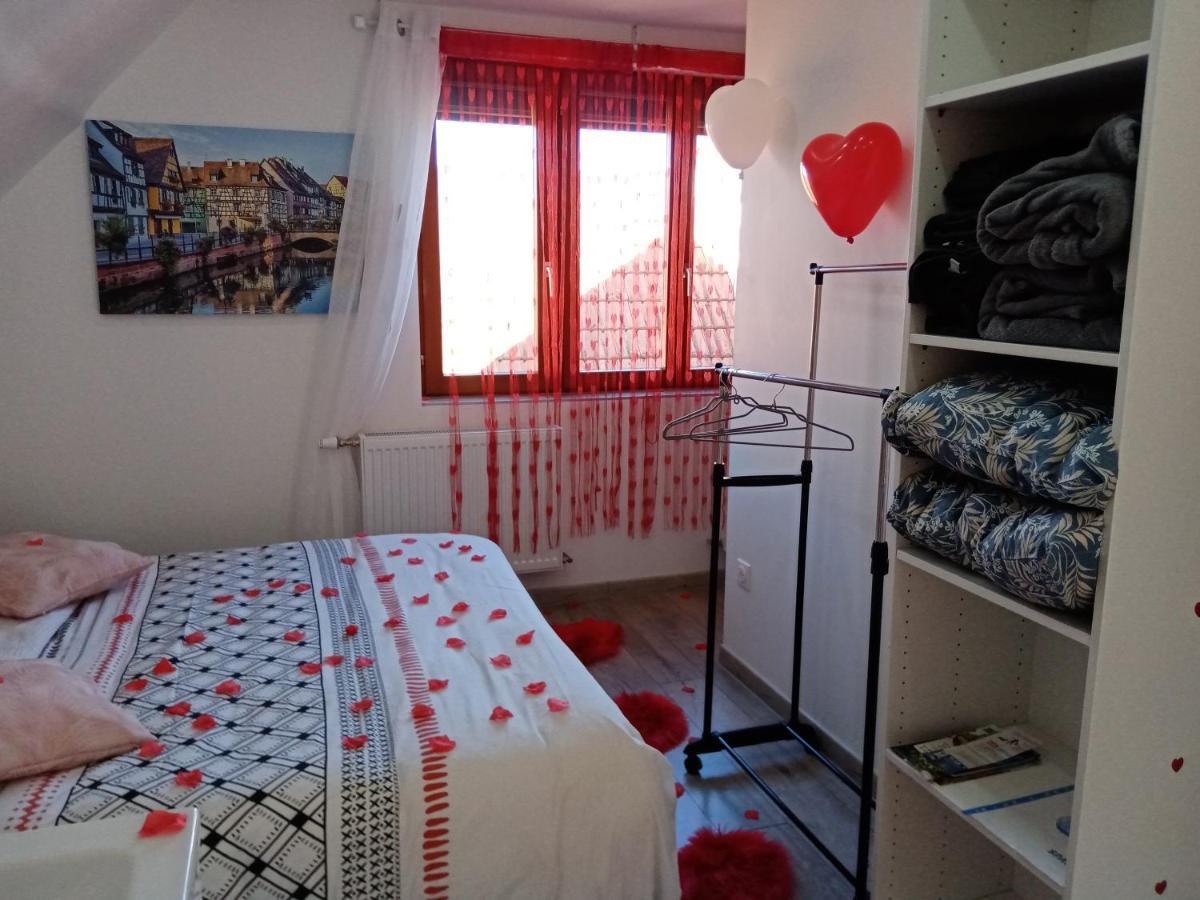 Studio Jacuzzi Au Centre Colmar Ngoại thất bức ảnh