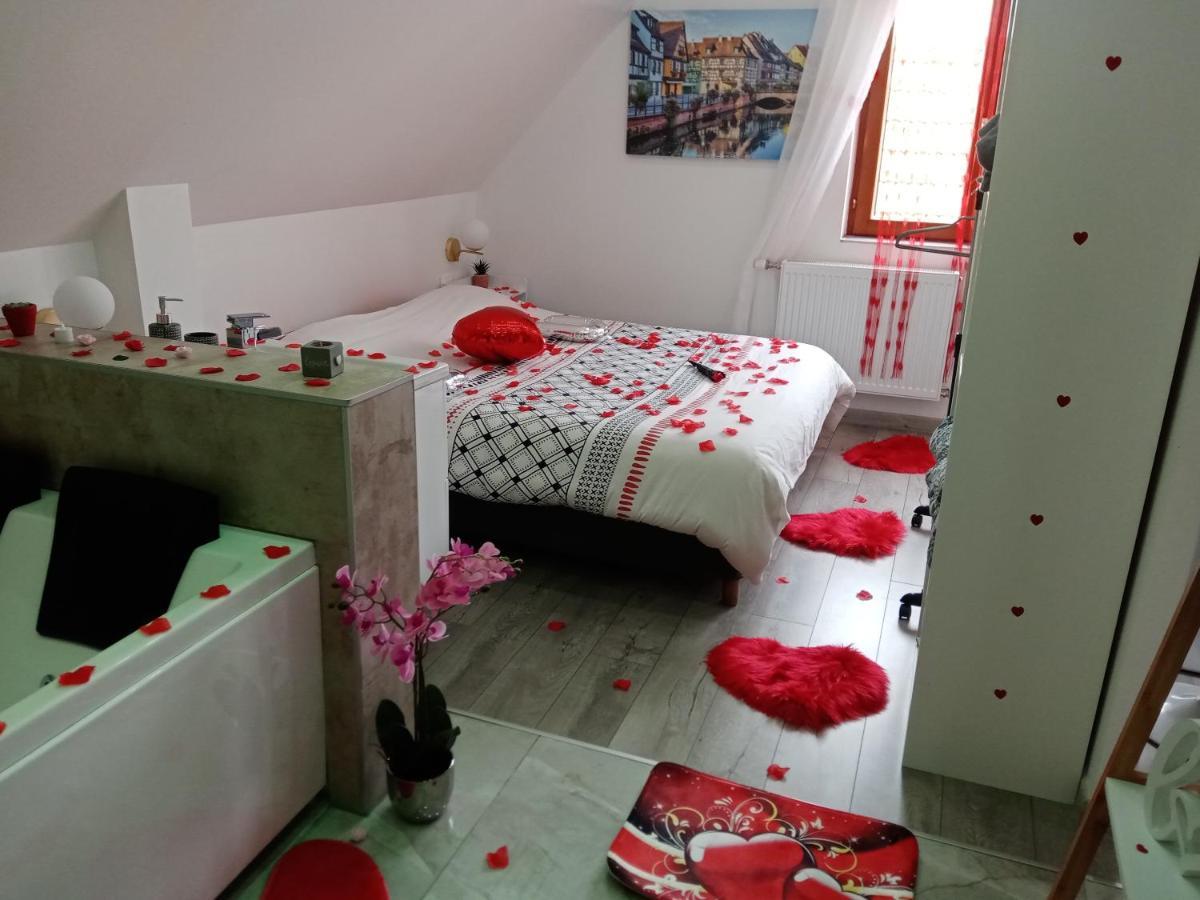 Studio Jacuzzi Au Centre Colmar Ngoại thất bức ảnh