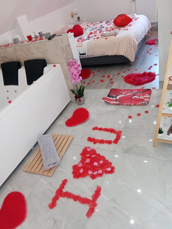 Studio Jacuzzi Au Centre Colmar Ngoại thất bức ảnh