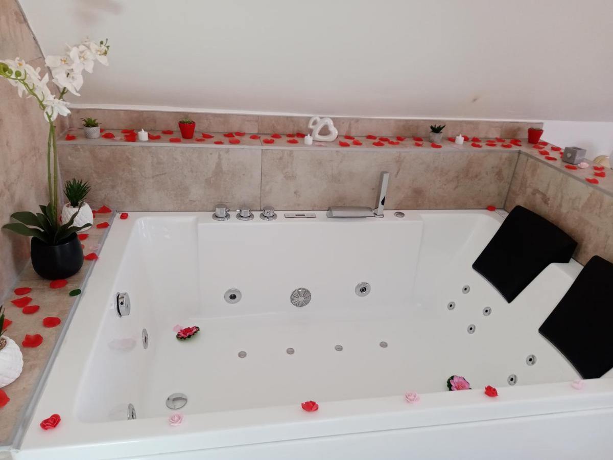 Studio Jacuzzi Au Centre Colmar Ngoại thất bức ảnh
