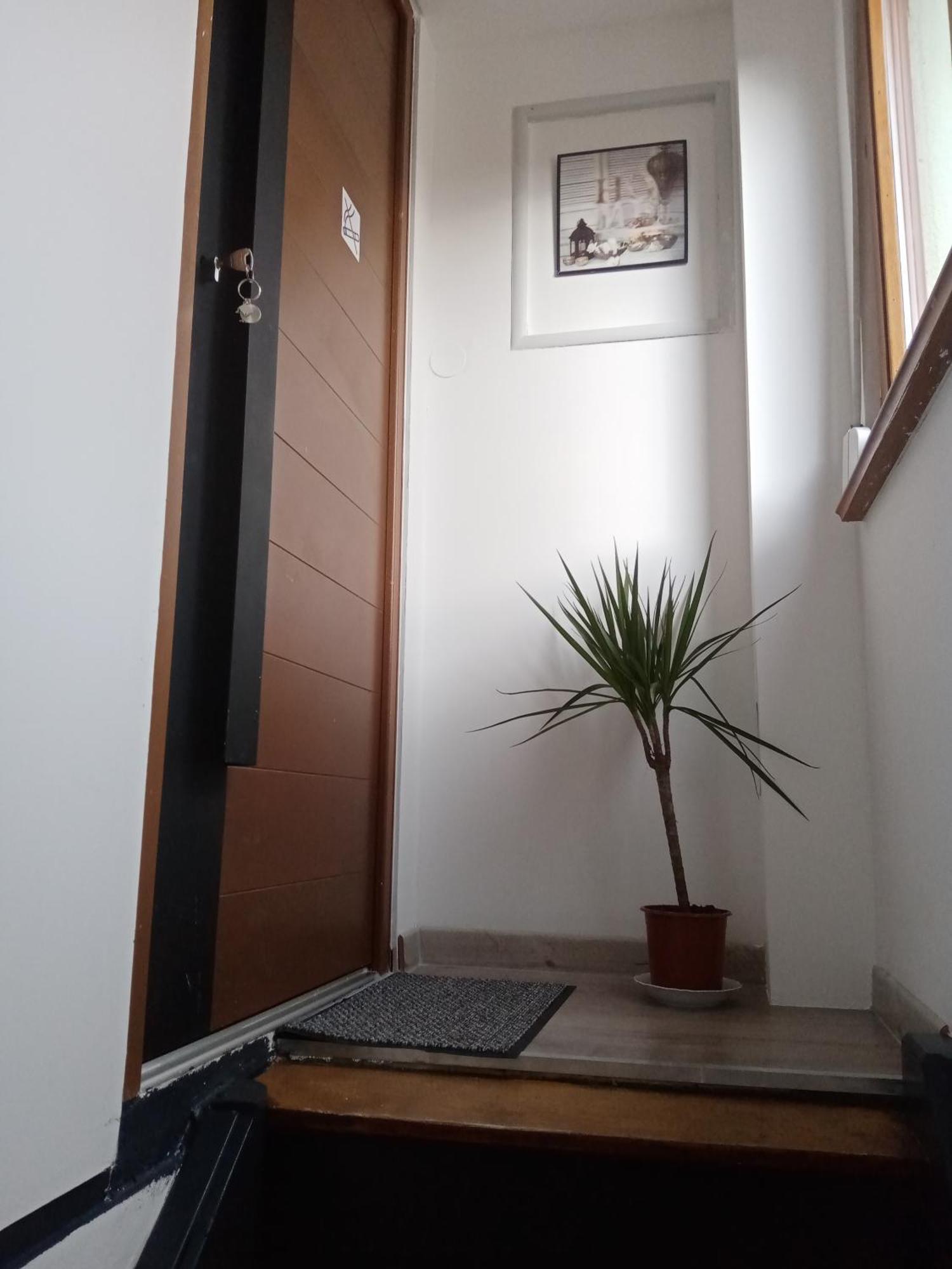 Studio Jacuzzi Au Centre Colmar Phòng bức ảnh