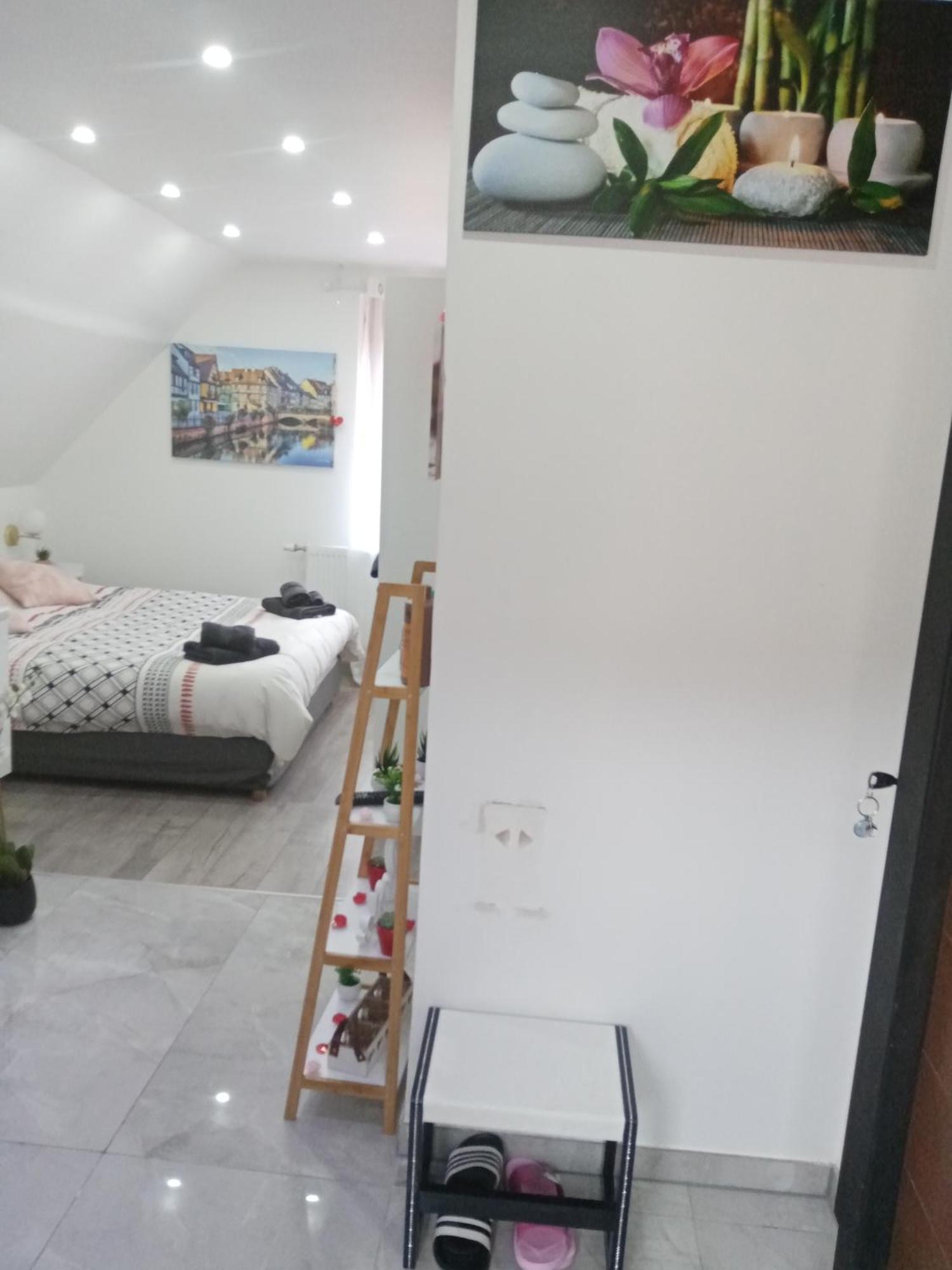Studio Jacuzzi Au Centre Colmar Phòng bức ảnh